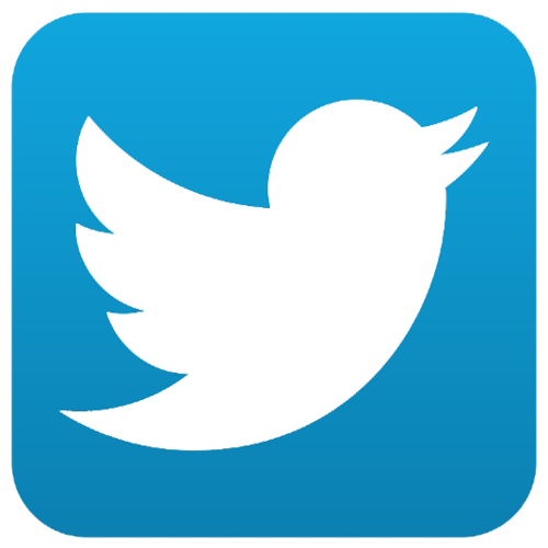 icon twitter bird